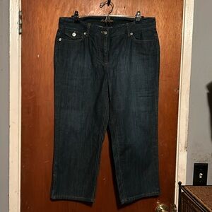 Ann Taylor modern fit Lindsay waist jeans
Size 12